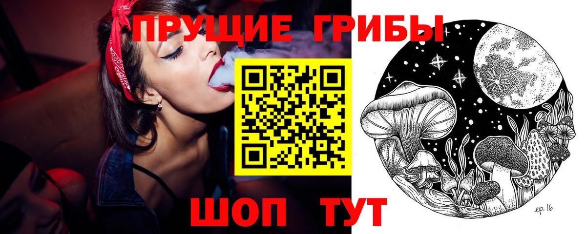 Галлюциногенные грибы Psilocybine cubensis  наркотики  Рассказово  Вход с VPN 